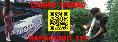 spice Бузулук