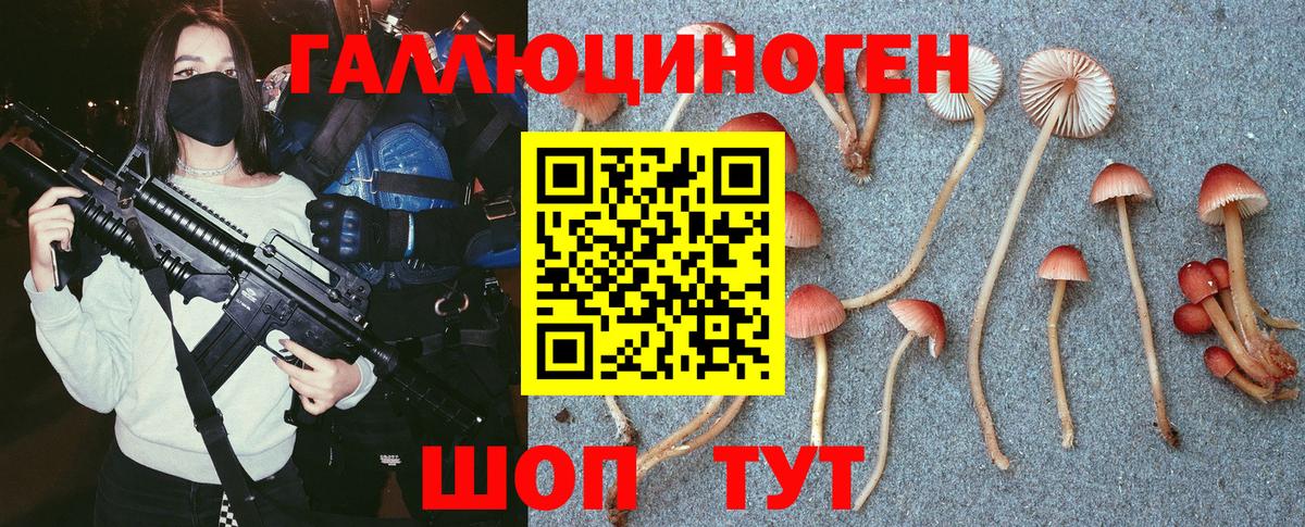Галлюциногенные грибы GOLDEN TEACHER  Вход с VPN  Псилоцибиновые грибы MAGIC MUSHROOMS  Пенза 